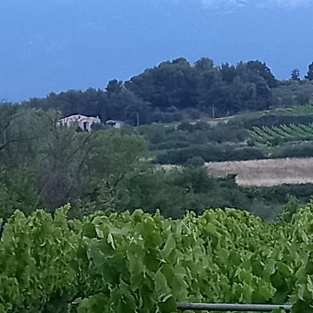 La Pifote Villa Villes-sur-Auzon Luaran gambar