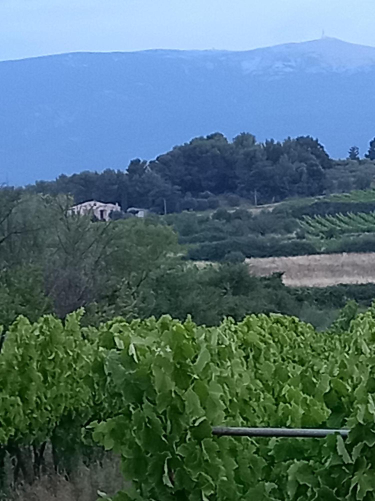 La Pifote Villa Villes-sur-Auzon Luaran gambar